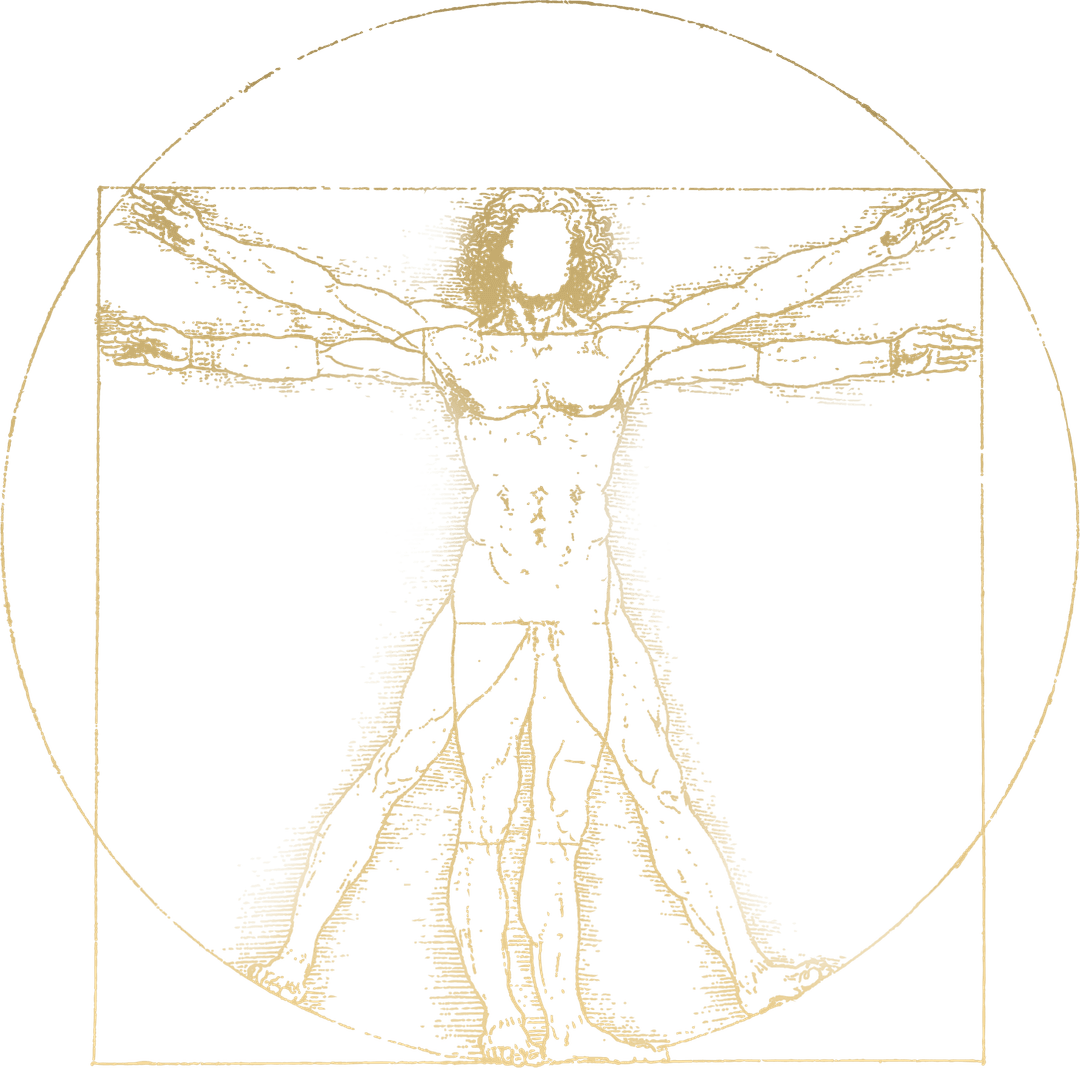 Homem Vitruviano — Virtus Studio